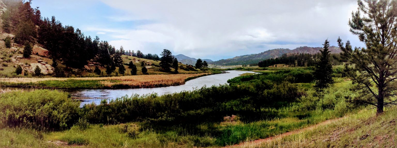Google Photo Filters, Original Photography