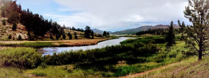 Google Photo Filters, Original Photography