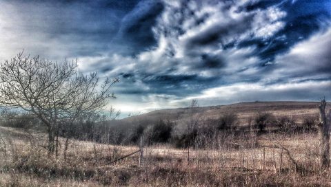 Photo Retouch, Google Filters