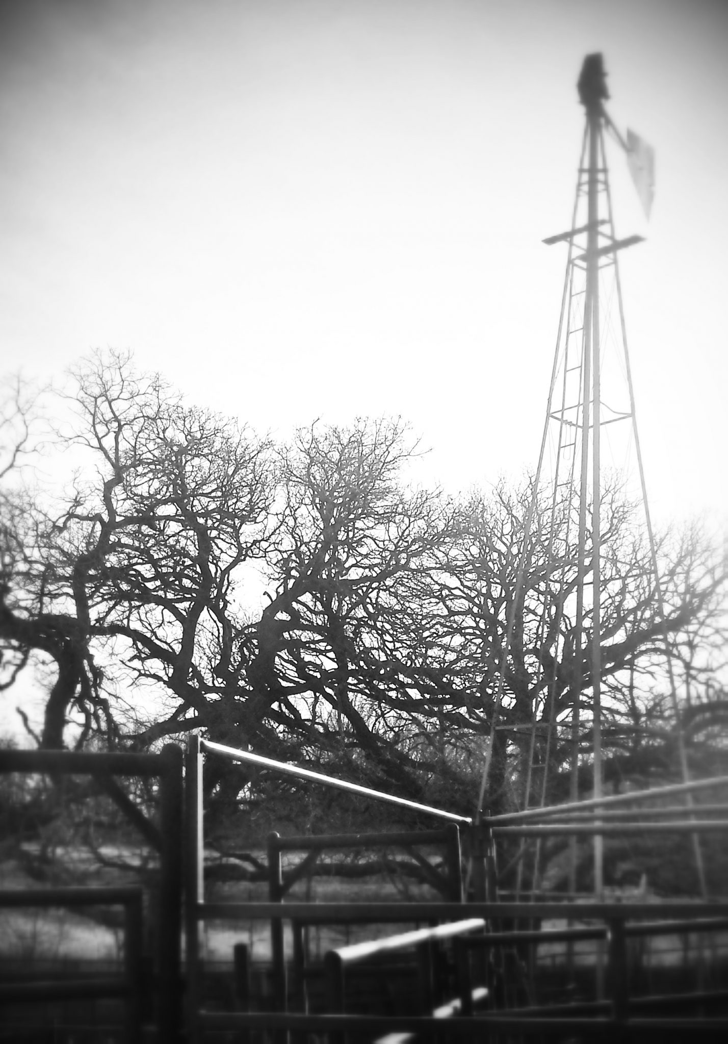 Photoshop, Original Photography, Resources