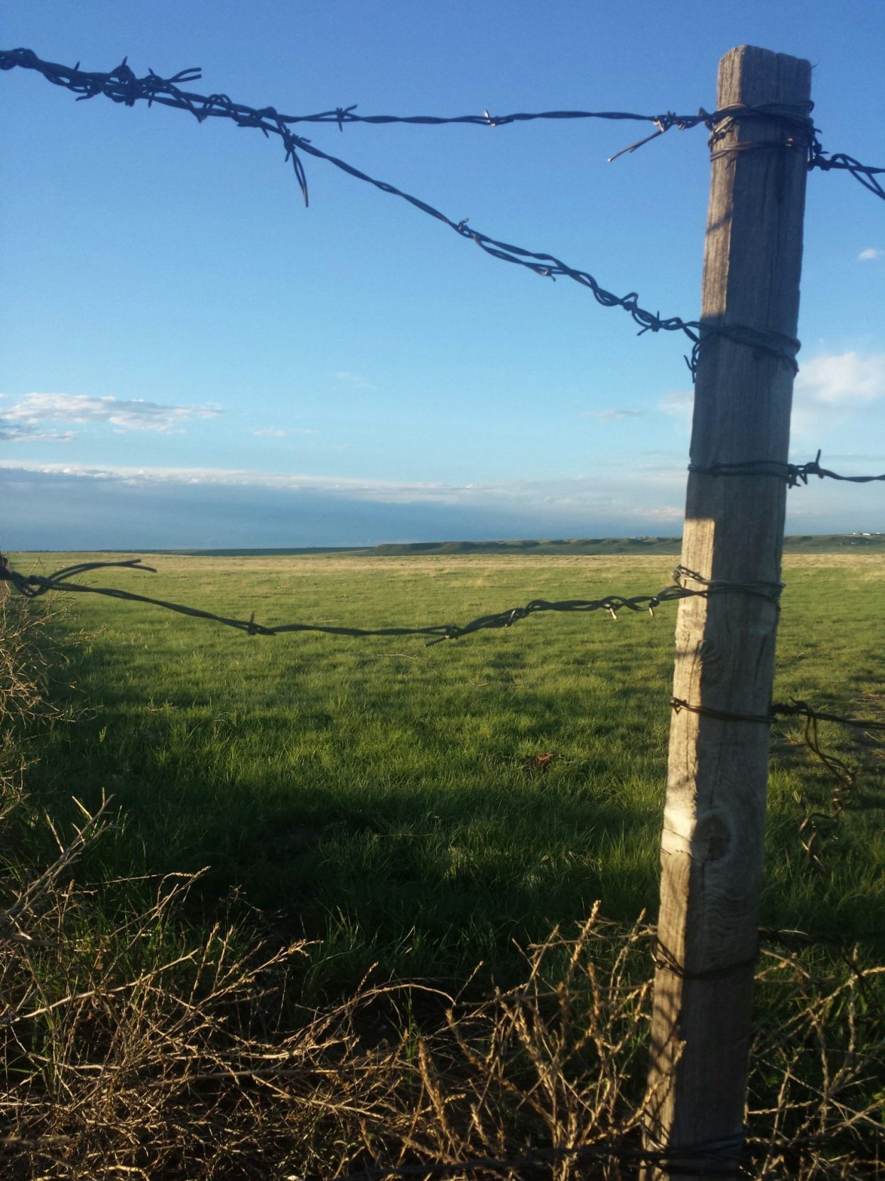 Barbed Wire, High Plains, Photographic Resources