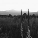 Original Photography, Google Filter