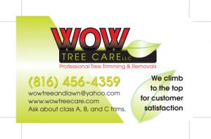 Final Wow Tree Carer Logo Design with Business Card