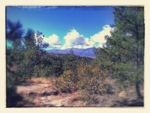 Filters, Original Photo, Resources